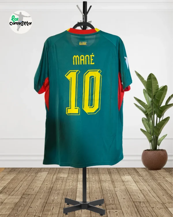 2026 Senegal