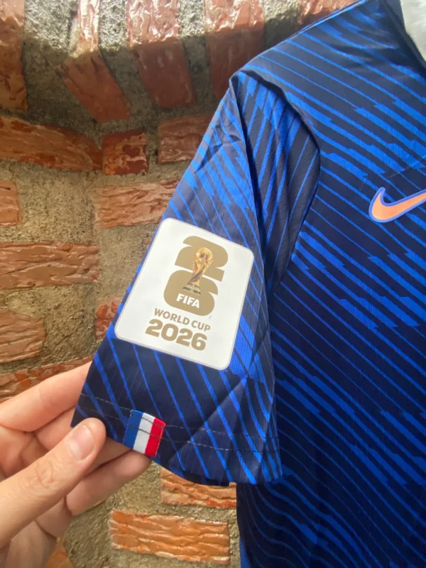 2026 Francia lisa